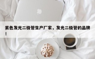 紫色发光二极管生产厂家，发光二极管的品牌！