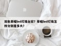 双色草帽led灯珠台宏？草帽led灯珠怎样分别是多大？