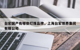 台宏国产有哪些灯珠品牌，上海台宏世界集团有限公司