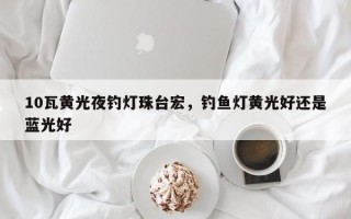 10瓦黄光夜钓灯珠台宏，钓鱼灯黄光好还是蓝光好