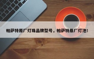 帕萨特原厂灯珠品牌型号，帕萨特原厂灯泡！