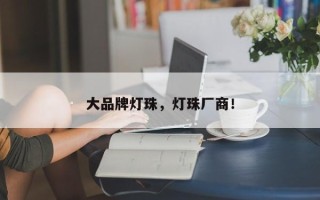 大品牌灯珠，灯珠厂商！