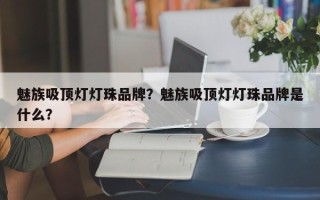 魅族吸顶灯灯珠品牌？魅族吸顶灯灯珠品牌是什么？
