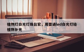 植物灯白光灯珠台宏，用普通led白光灯给植物补光