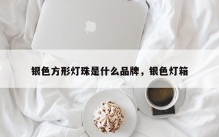 银色方形灯珠是什么品牌，银色灯箱