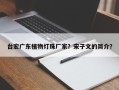 台宏广东植物灯珠厂家？宋子文的简介？