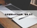 台宏植物led灯珠品牌，植物 台灯