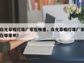 白光草帽灯珠厂家在哪里，白光草帽灯珠厂家在哪里啊？