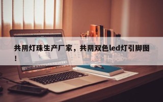 共阴灯珠生产厂家，共阴双色led灯引脚图！
