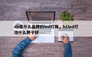 oh是什么品牌的led灯珠，h1led灯泡什么牌子好
