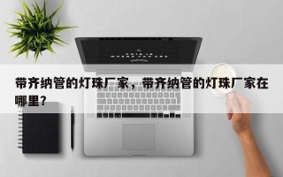 带齐纳管的灯珠厂家，带齐纳管的灯珠厂家在哪里？