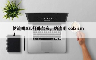 仿流明5瓦灯珠台宏，仿流明 cob smd