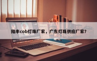 陆丰cob灯珠厂家，广东灯珠供应厂家？