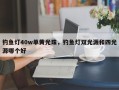 钓鱼灯40w单黄光珠，钓鱼灯双光源和四光源哪个好