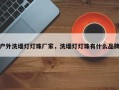 户外洗墙灯灯珠厂家，洗墙灯灯珠有什么品牌