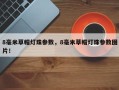8毫米草帽灯珠参数，8毫米草帽灯珠参数图片！