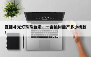 直播补光灯珠珠台宏，一亩桃树能产多少桃胶！