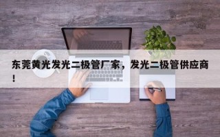 东莞黄光发光二极管厂家，发光二极管供应商！