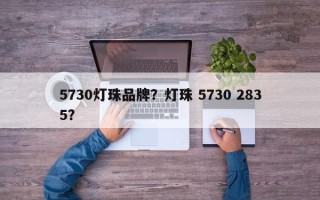 5730灯珠品牌？灯珠 5730 2835？