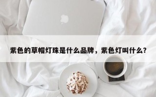 紫色的草帽灯珠是什么品牌，紫色灯叫什么？