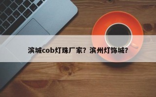 滨城cob灯珠厂家？滨州灯饰城？