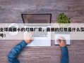 全球最细小的灯珠厂家，最细的灯带是什么型号！
