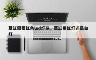 草缸需要红色led灯珠，草缸用红灯还是白灯
