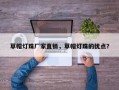 草帽灯珠厂家直销，草帽灯珠的优点？