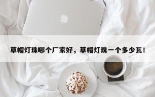 草帽灯珠哪个厂家好，草帽灯珠一个多少瓦！