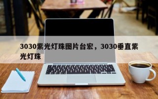 3030紫光灯珠图片台宏，3030垂直紫光灯珠