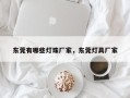 东莞有哪些灯珠厂家，东莞灯具厂家