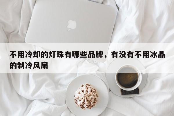 不用冷却的灯珠有哪些品牌，有没有不用冰晶的制冷风扇-第1张图片-LED灯珠-LED灯珠贴片-LED灯珠厂家台宏光电