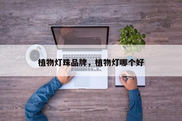 植物灯珠品牌，植物灯哪个好-第1张图片-LED灯珠-LED灯珠贴片-LED灯珠厂家台宏光电