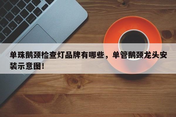 单珠鹅颈检查灯品牌有哪些，单管鹅颈龙头安装示意图！-第1张图片-LED灯珠-LED灯珠贴片-LED灯珠厂家台宏光电