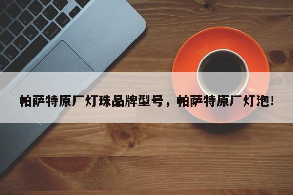帕萨特原厂灯珠品牌型号，帕萨特原厂灯泡！-第1张图片-LED灯珠-LED灯珠贴片-LED灯珠厂家台宏光电