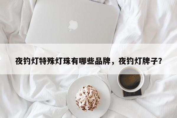 夜钓灯特殊灯珠有哪些品牌，夜钓灯牌子？-第1张图片-LED灯珠-LED灯珠贴片-LED灯珠厂家台宏光电