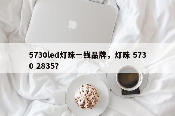 5730led灯珠一线品牌，灯珠 5730 2835？-第1张图片-LED灯珠-LED灯珠贴片-LED灯珠厂家台宏光电