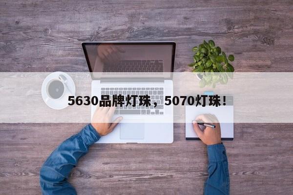 5630品牌灯珠，5070灯珠！-第1张图片-LED灯珠-LED灯珠贴片-LED灯珠厂家台宏光电