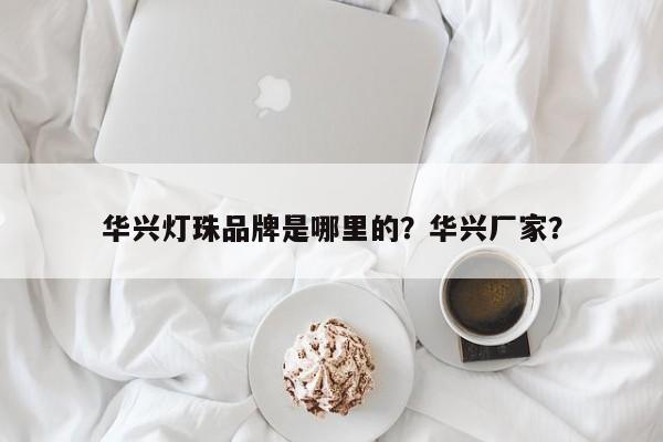 华兴灯珠品牌是哪里的？华兴厂家？-第1张图片-LED灯珠-LED灯珠贴片-LED灯珠厂家台宏光电