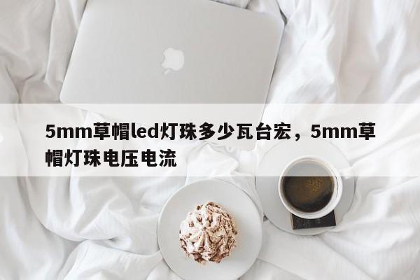 5mm草帽led灯珠多少瓦台宏，5mm草帽灯珠电压电流-第1张图片-LED灯珠-LED灯珠贴片-LED灯珠厂家台宏光电