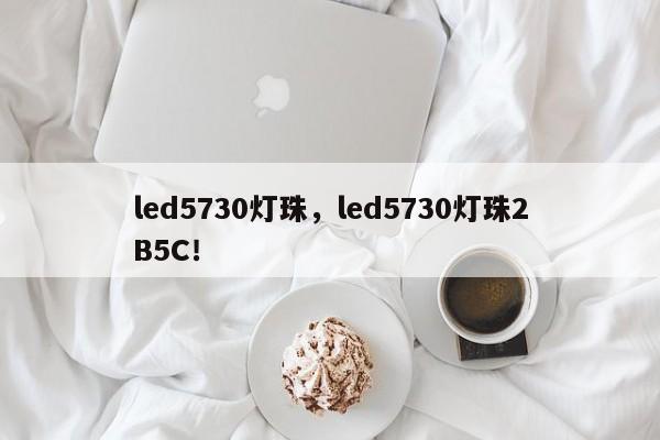 led5730灯珠，led5730灯珠2B5C！-第1张图片-LED灯珠-LED灯珠贴片-LED灯珠厂家台宏光电