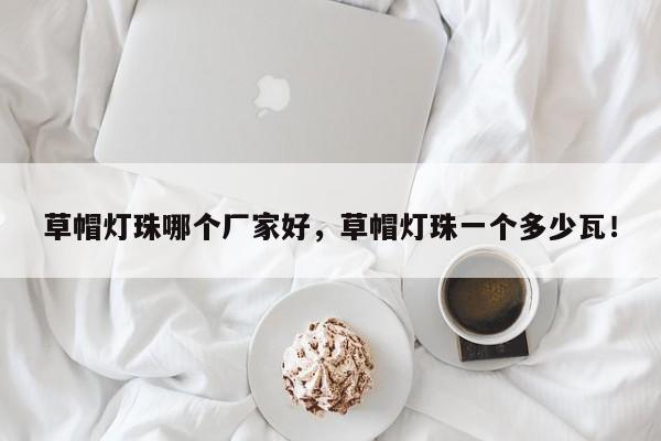 草帽灯珠哪个厂家好，草帽灯珠一个多少瓦！-第1张图片-LED灯珠-LED灯珠贴片-LED灯珠厂家台宏光电
