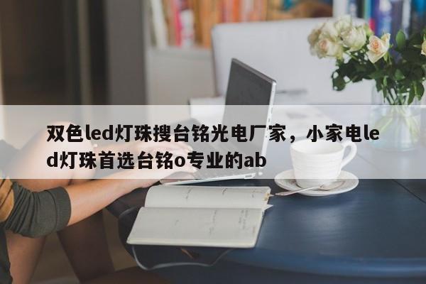 双色led灯珠搜台铭光电厂家，小家电led灯珠首选台铭o专业的ab-第1张图片-LED灯珠-LED灯珠贴片-LED灯珠厂家台宏光电