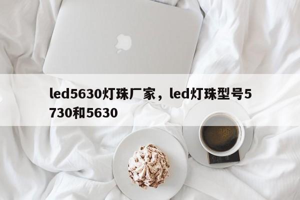 led5630灯珠厂家，led灯珠型号5730和5630-第1张图片-LED灯珠-LED灯珠贴片-LED灯珠厂家台宏光电