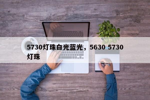 5730灯珠白光蓝光，5630 5730灯珠-第1张图片-LED灯珠-LED灯珠贴片-LED灯珠厂家台宏光电