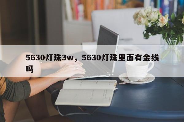 5630灯珠3w，5630灯珠里面有金线吗-第1张图片-LED灯珠-LED灯珠贴片-LED灯珠厂家台宏光电