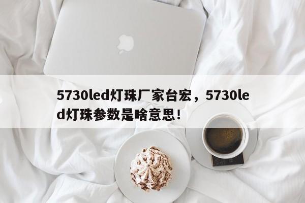 5730led灯珠厂家台宏，5730led灯珠参数是啥意思！-第1张图片-LED灯珠-LED灯珠贴片-LED灯珠厂家台宏光电