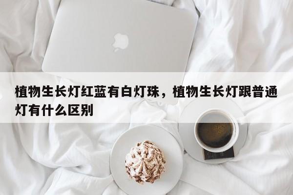植物生长灯红蓝有白灯珠，植物生长灯跟普通灯有什么区别-第1张图片-LED灯珠-LED灯珠贴片-LED灯珠厂家台宏光电