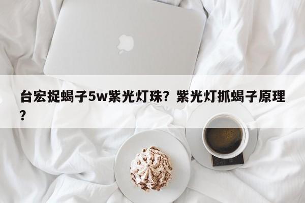 台宏捉蝎子5w紫光灯珠？紫光灯抓蝎子原理？-第1张图片-LED灯珠-LED灯珠贴片-LED灯珠厂家台宏光电