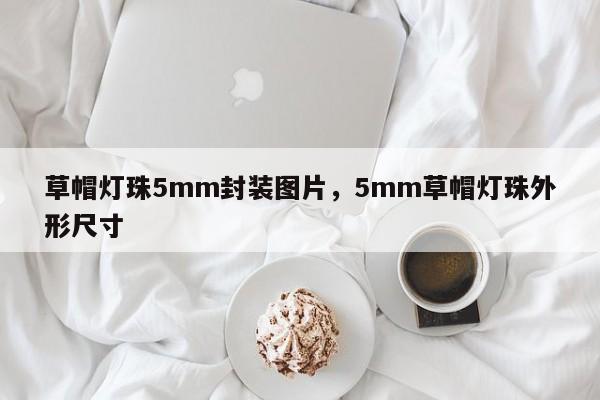 草帽灯珠5mm封装图片,5mm草帽灯珠外形尺寸-第1张图片-LED灯珠-LED灯珠贴片-LED灯珠厂家台宏光电 草帽灯珠5mm封装图片,5mm草帽灯珠外形尺寸-第1张图片-LED灯珠-LED灯珠贴片-LED灯珠厂家台宏光电